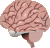 201704 brain.svg