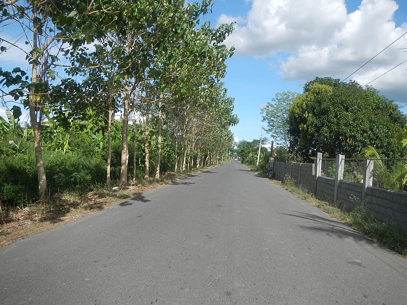 File:439Rabago Guiling Coliling, Rosales, Pangasinan 26.jpg