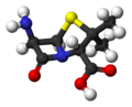 Ácido 6-aminopenicilánico 299 visitas en sept 2010