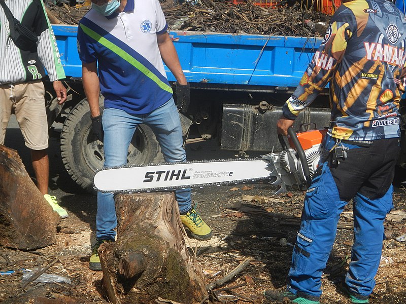 File:9852Baliuag DRRM workers cutting acacia tree trunks with Stihl chainsaws 47.jpg