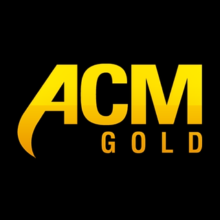 <span class="mw-page-title-main">ACM Gold</span> South African-based financial brokerage house