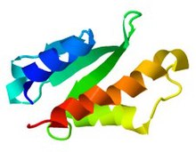 AcrIIA4 struktur PDB.jpg