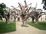 Trees, 2010. Installiert seit 2016 am Downing College in Cambridge