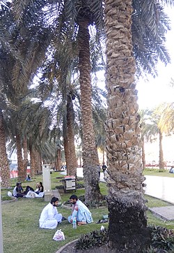 Al Muteena Park, Deyra