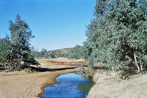 Todd River spring, the "springs" that give the town its name