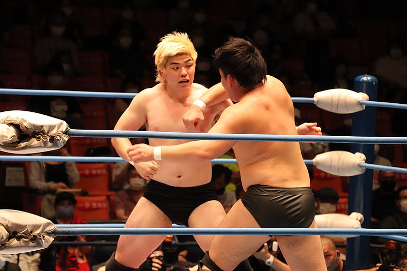 File:All Japan Wrestling Korakuen Hall Tournament IMG 4284.jpg