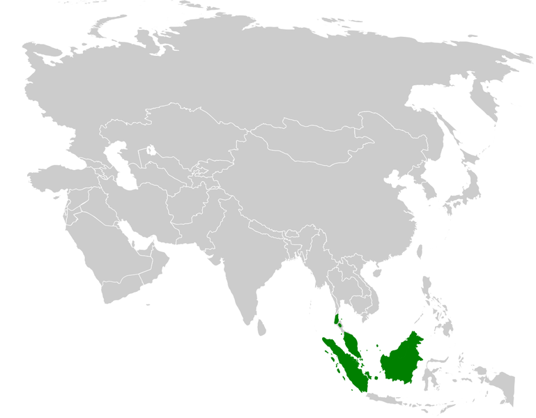 File:Alophoixus phaeocephalus distribution map.png