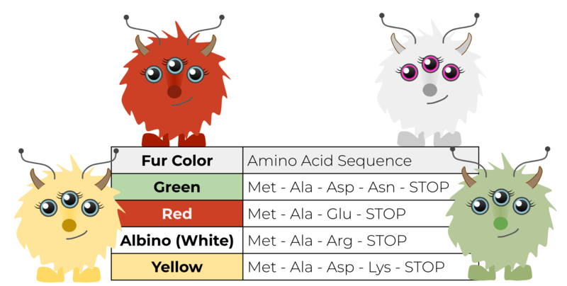 File:Amino Acid Sequences.png