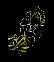 Anakinra (Kineret®) bij reumatische aandoeningen - Radboudumc