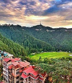 Annadale Shimla beauty.jpg