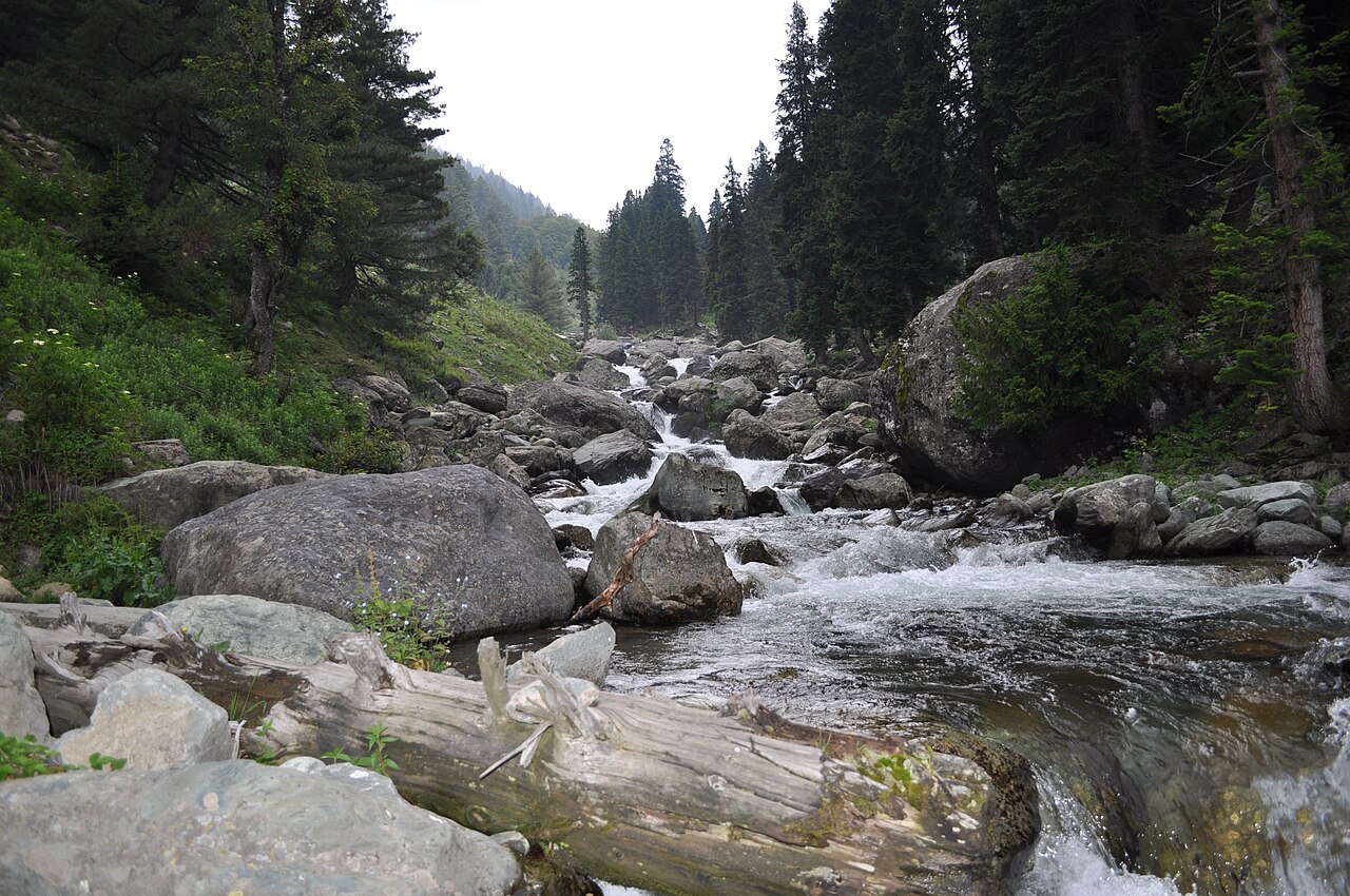 Arin_Nallah-stream in Kashmir