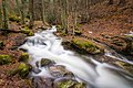 Arroyo del Sestil del Maíllo, Canencia.jpg