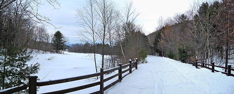 File:Ashuwillticook Rail Trail crosses Berkshire Pond (1).jpg