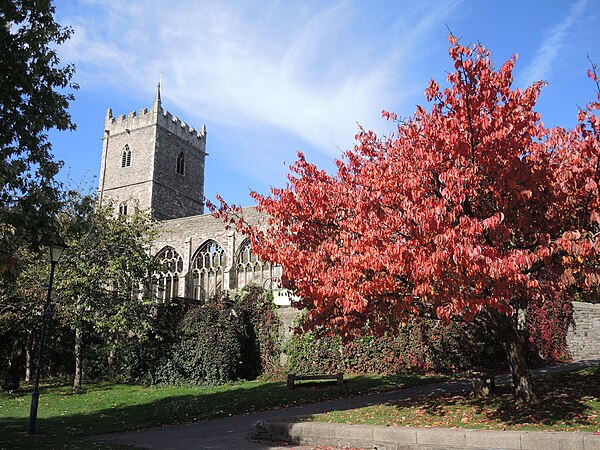 Image: Autumn colour in Castle Park (geograph 7336500)