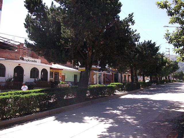 Avenida Agustin Gamarra