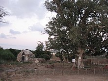 Ayanot074.jpg