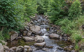 Bad Harzburg asv2022-06 img30 Radau-Wasserfall.jpg