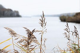 Badestelle "Klein Westerland" im Luftkurort Burg