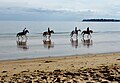 osmwiki:File:Balade à cheval sur la plage de La Baule.jpg