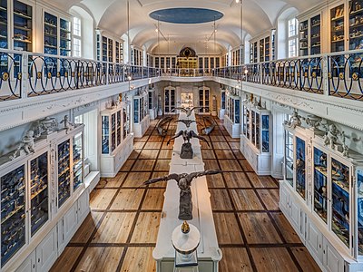 Bird room in the natural history museum in Bamberg