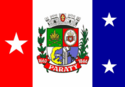 パラチーの市旗