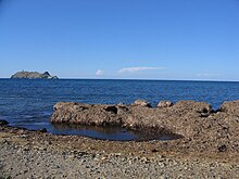 Banquette de posidonies sur une plage corse.