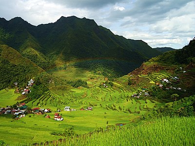 Rijstterrassen in Ifugao