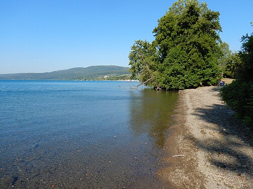 La spiaggia degli ontani a Trevignano Romano (Lago di Bracciano)