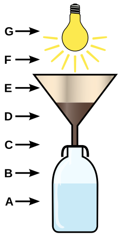 A funnel (E) contains a sample of soil or leaf litter (D), and a heat source (F), in this case an electric lamp (G), heats the sample. Animals escaping from the desiccation of the sample descend through a filter (C) into a preservative liquid (A) in a receptacle (B). This illustration is merely a schematic, since usually the soil sample will not be crumbled and poured into the funnel (this would inevitably lead to a high amount of soil particles in the preservation fluid requiring laborious work to sort out the soil organisms). In fact, the soil sample is placed on a mesh sieve that will allow the soil animals to pass but should retain most of the soil particles. Berlese.svg