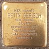 Betty Gerisch-Martin-Luther-Strasse 8 (Hamburg-Neustadt). Stolperstein.nnw.jpg