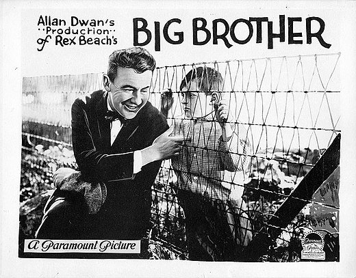 Big Brother film poster.jpg