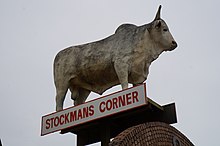 A Rockhampton big bull at 9 Gladstone Road, Allenstown (2012). Big Bull of Rockhampton.jpg