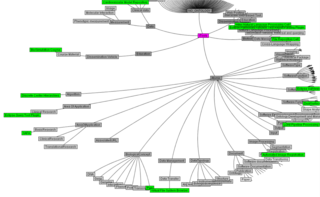 iTools Resourceome