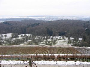 Winterlicher Blick vom Lemberg