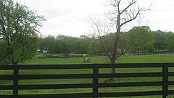 Bone Mound II Site-Übersicht.jpg