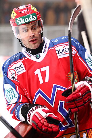 <span class="mw-page-title-main">Sébastien Bordeleau</span> French ice hockey player