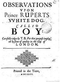 Pro-Parliamentary pamphlet of 1643 Boye pamphlet 1643.jpg