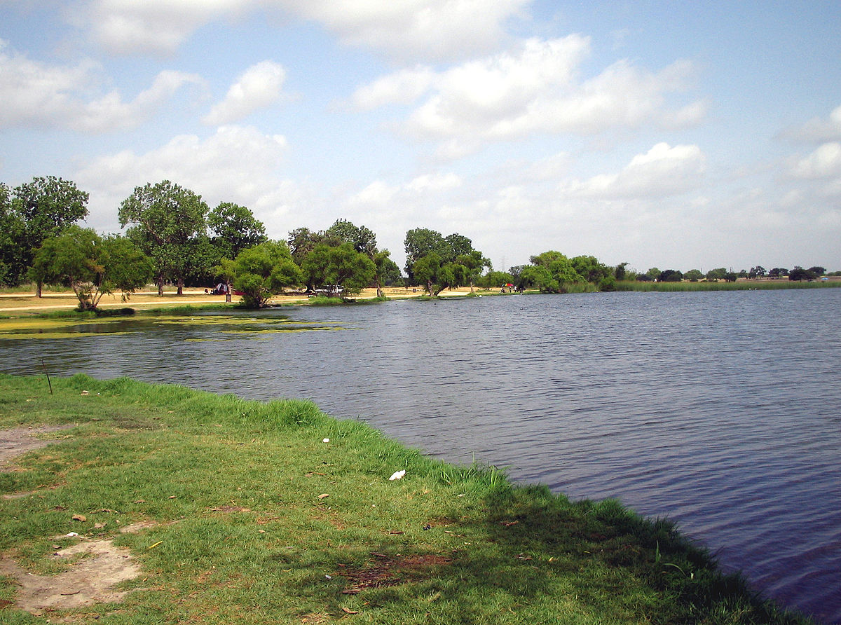 Braunig Lake