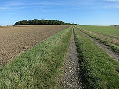 Bridleway to Capons Wood Bridleway to Capons Wood - 4210264.jpg