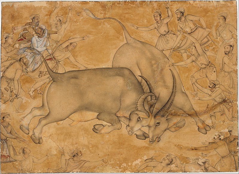 File:Buffaloes in Combat MET DT4828.jpg