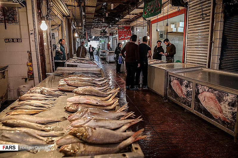 File:Bushehr Fish Market 2018-12-23 15.jpg