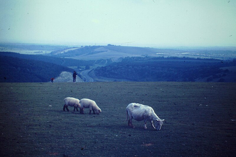 File:Butser Hill - geograph.org.uk - 2925165.jpg