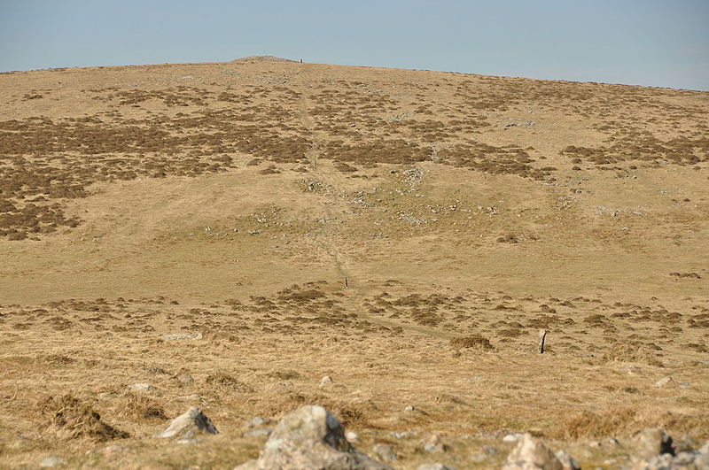 File:Butterdon Hill and boundary stones (3750).jpg