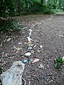 Rock snake created during the 2020 COVID-19 pandemic in Bursted Wood at Barnehurst.