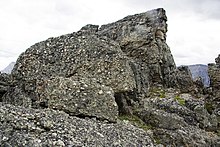 Rounded pebbles and cobbles in the Cadomin Formation, Centennial Ridge Trail, Mount Allan, Alberta. Cadomin Formation outcrops along Mt Allan Centenial Ridge Trail.jpg