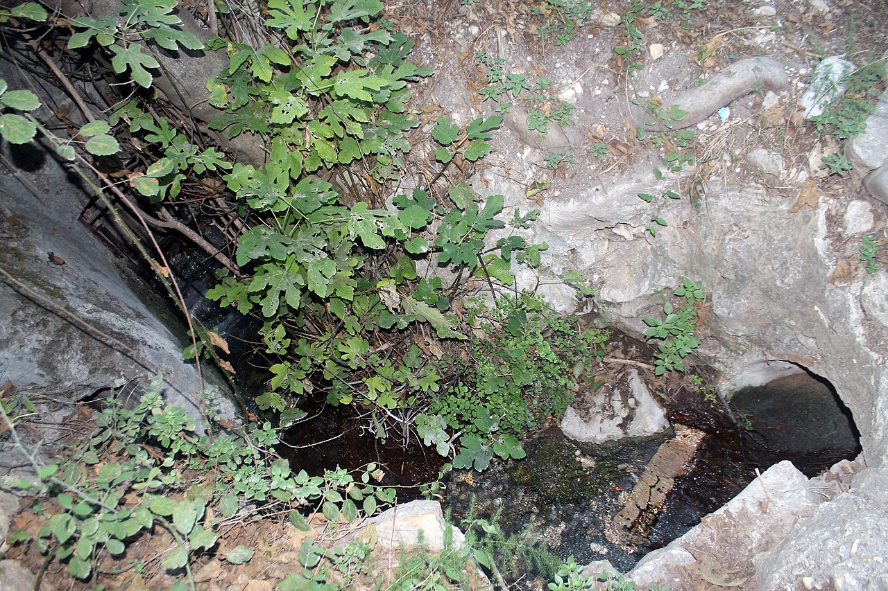 File Canal De Bellus A Xativa A L Entorn De La Cova Petxina Jpg Wikimedia Commons