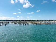 Des parcs à huîtres devant la plage du Mimbeau au Cap-Ferret, avec le phare et le château d’eau de la presqu’île en arrière-plan.