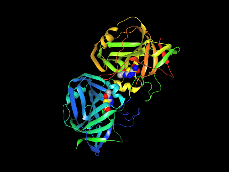 File:Carbonic anhydrase XII + acetazolamide.png