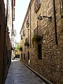 Català: Cases del carrer de la Paraireria. C. Paraireria (Banyoles). This is a photo of a building indexed in the Catalan heritage register as Bé Cultural d'Interès Local (BCIL) under the reference IPA-14983. Object location 42° 07′ 08.77″ N, 2° 46′ 01.18″ E  View all coordinates using: OpenStreetMap