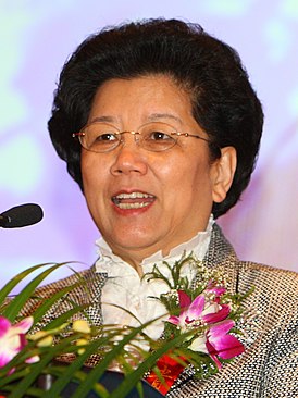 Чэнь Чжили, 2009 год